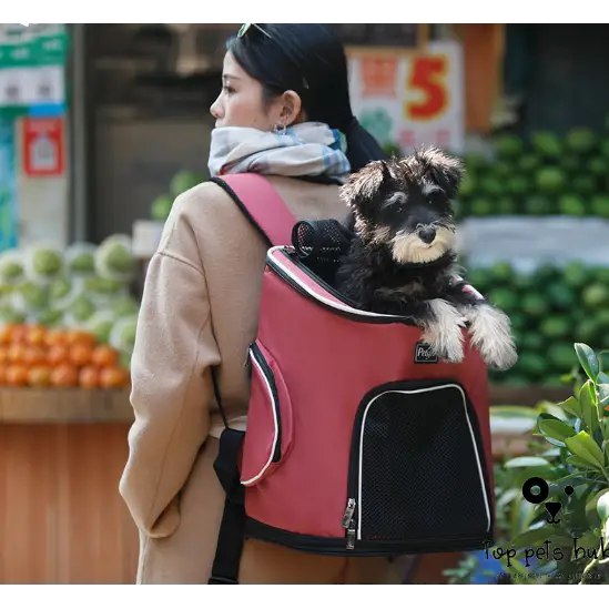 Pet Backpack