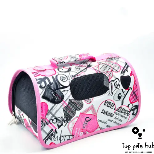 Pet Outing Bag