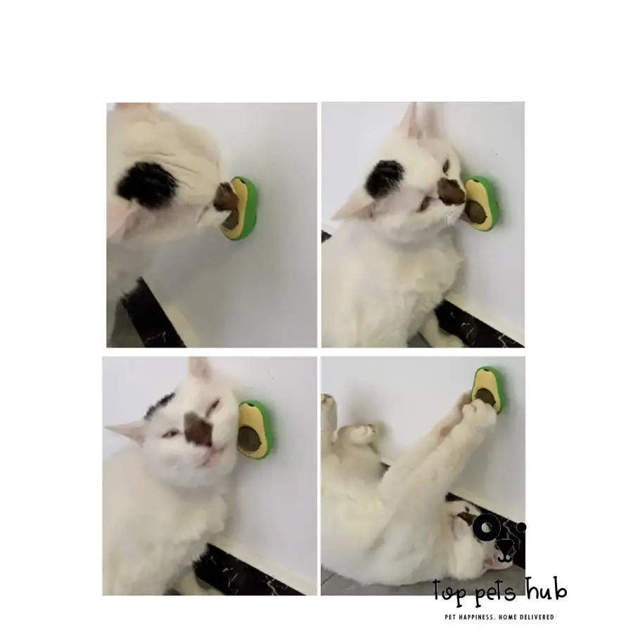 MintyPaws Avocado Catnip Toy