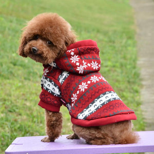 Knitted Wool Christmas Coat for Dogs
