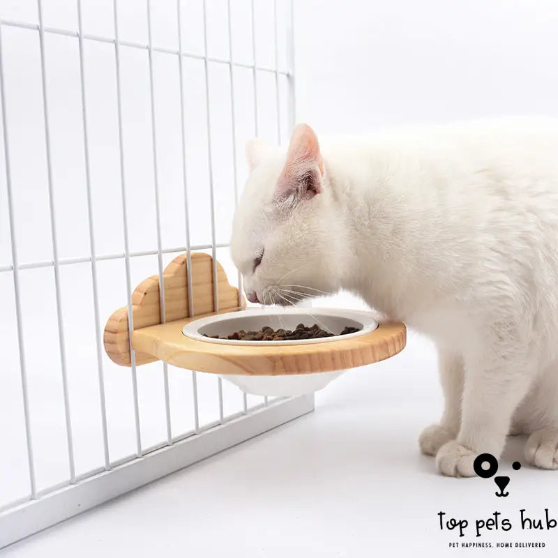 Ceramic Pet Bowl with Solid Wood Stand