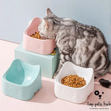 CeramicPaws Pet Ceramic Bowl