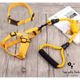 Pet Harness Rope and Collar Set