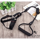 Pet Harness Rope and Collar Set