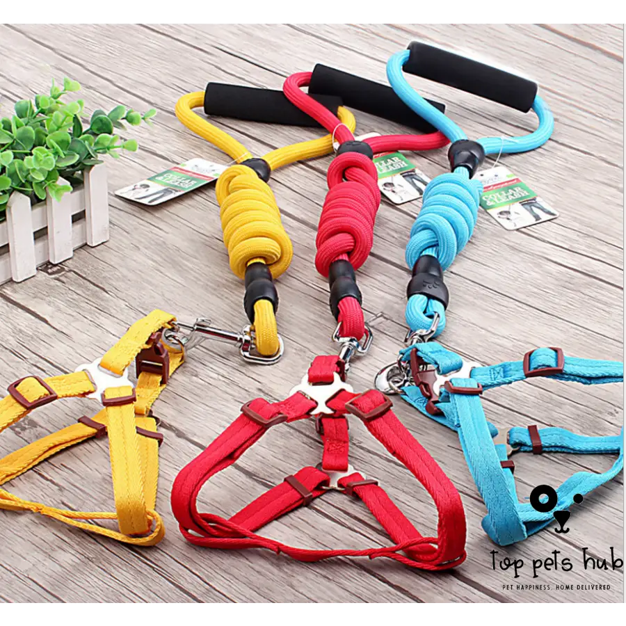 Pet Harness Rope and Collar Set