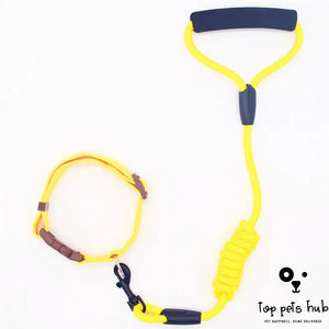 Dog Leash with Collar and Chain