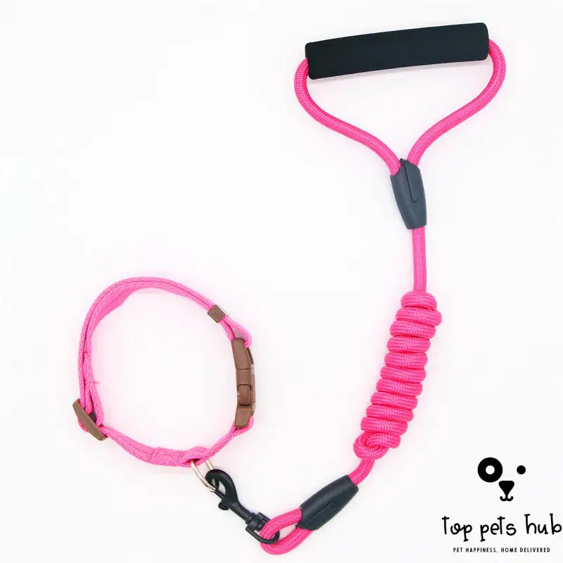 Dog Leash with Collar and Chain