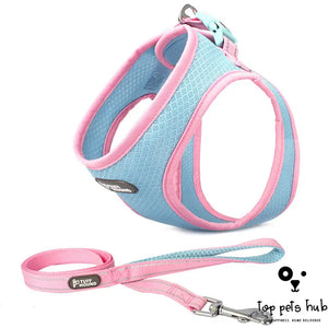 Adjustable Chest Harness with Leash for Cats and Dogs