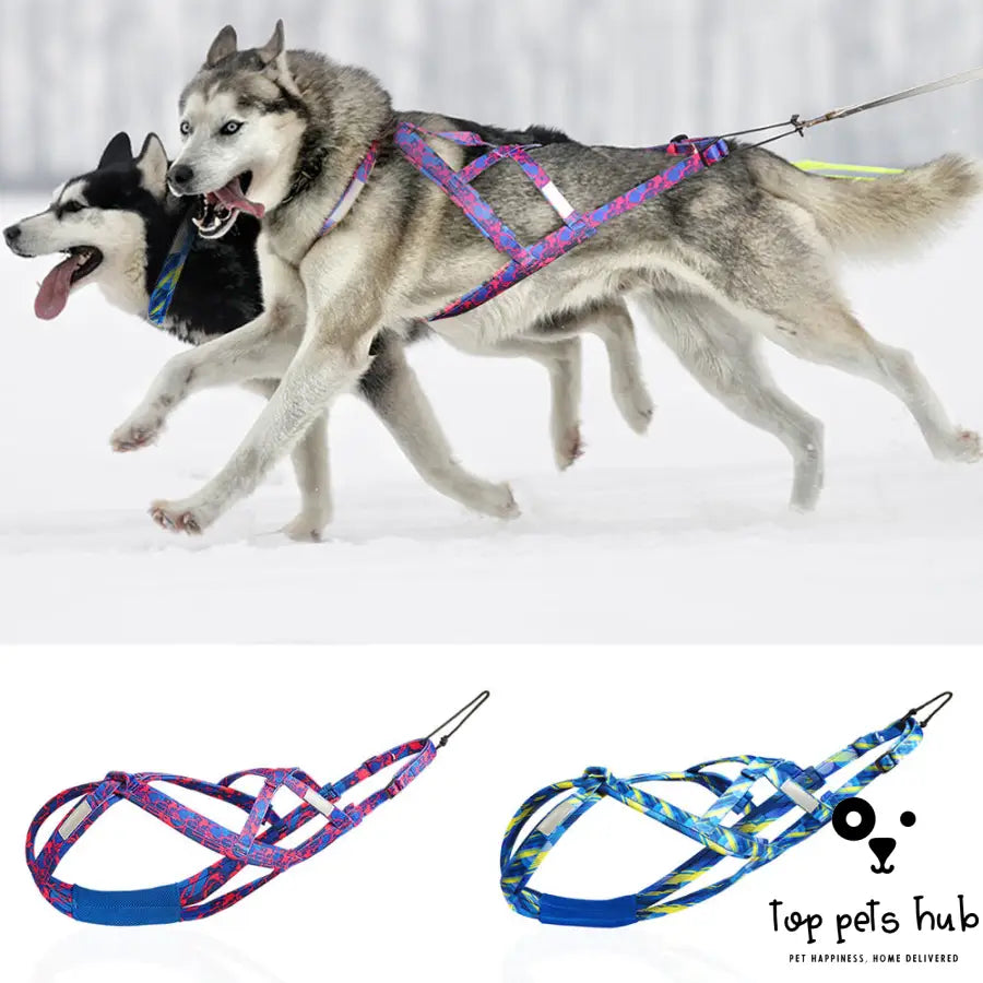 Dog Sled Chest Strap