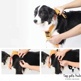 Integrated Retractable Dog Leash