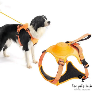 Integrated Retractable Dog Leash