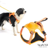 Integrated Retractable Dog Leash