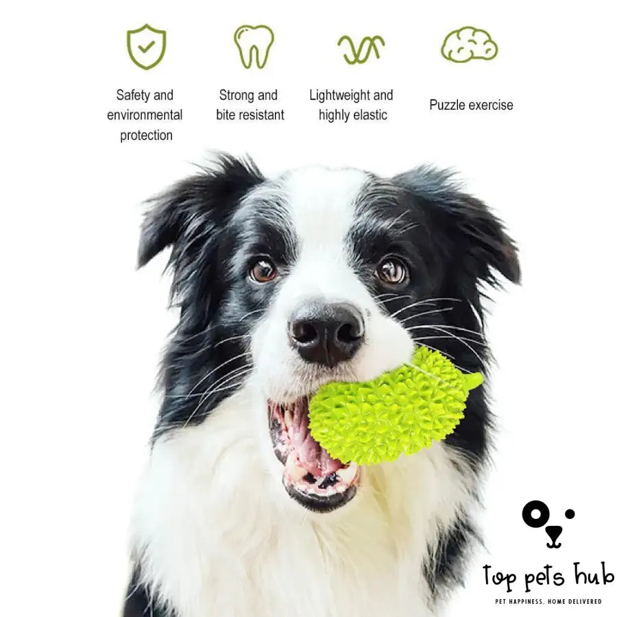 Durian Chew Glue Ball Dog Toy