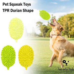 Durian Chew Glue Ball Dog Toy