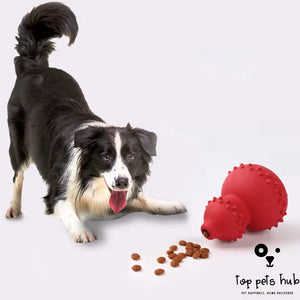 Durable Rubber Pet Toy