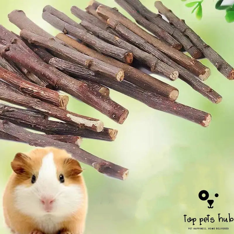 Dried Branches Small Animal Treats