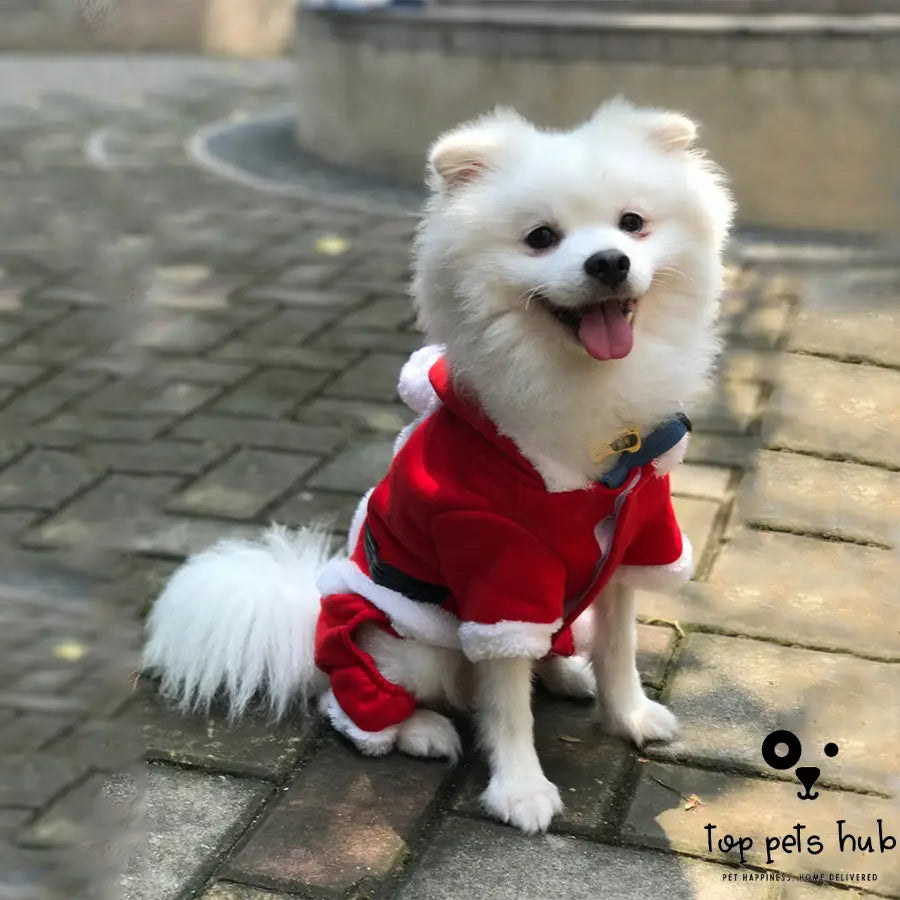 FestiveFur Christmas Warm Clothes for Pets - Holiday Fashion