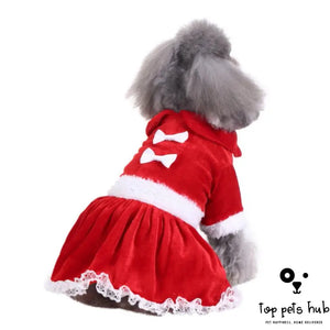 Christmas Pet Clothes