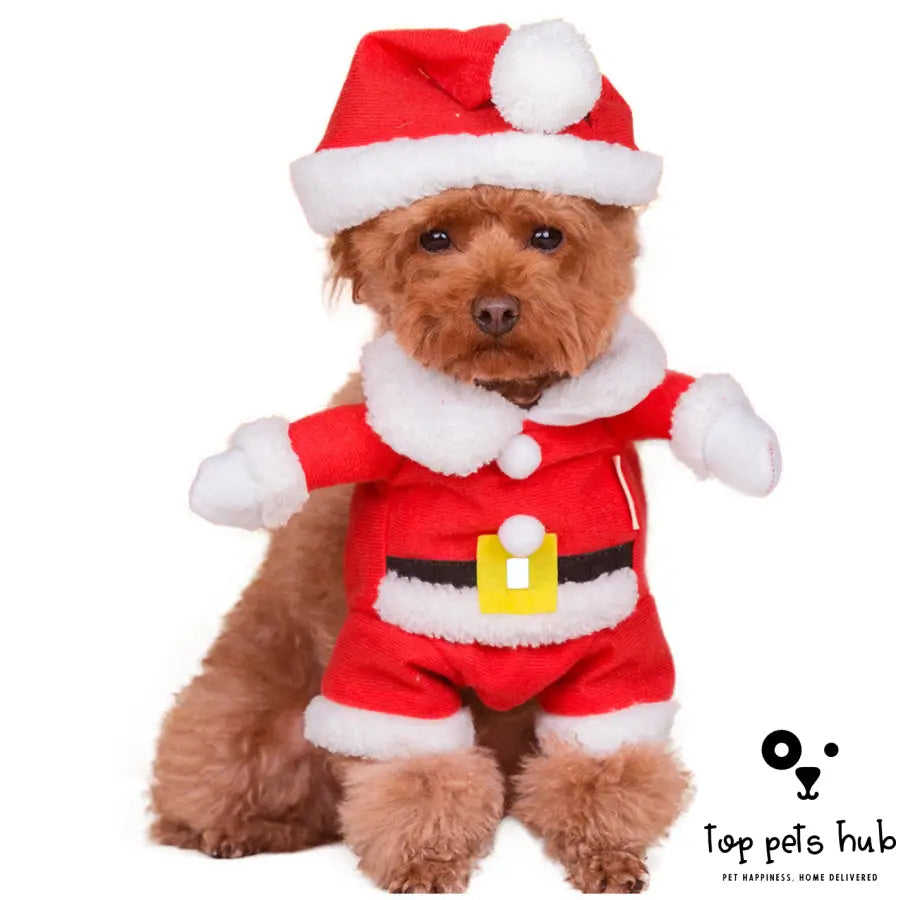 Santa Claus Costume for Pets