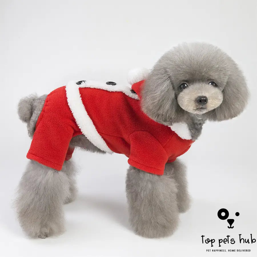 Fashionable Christmas Dog Clothes