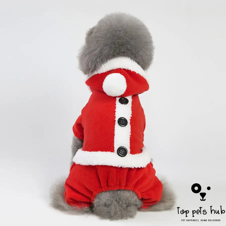 Fashionable Christmas Dog Clothes