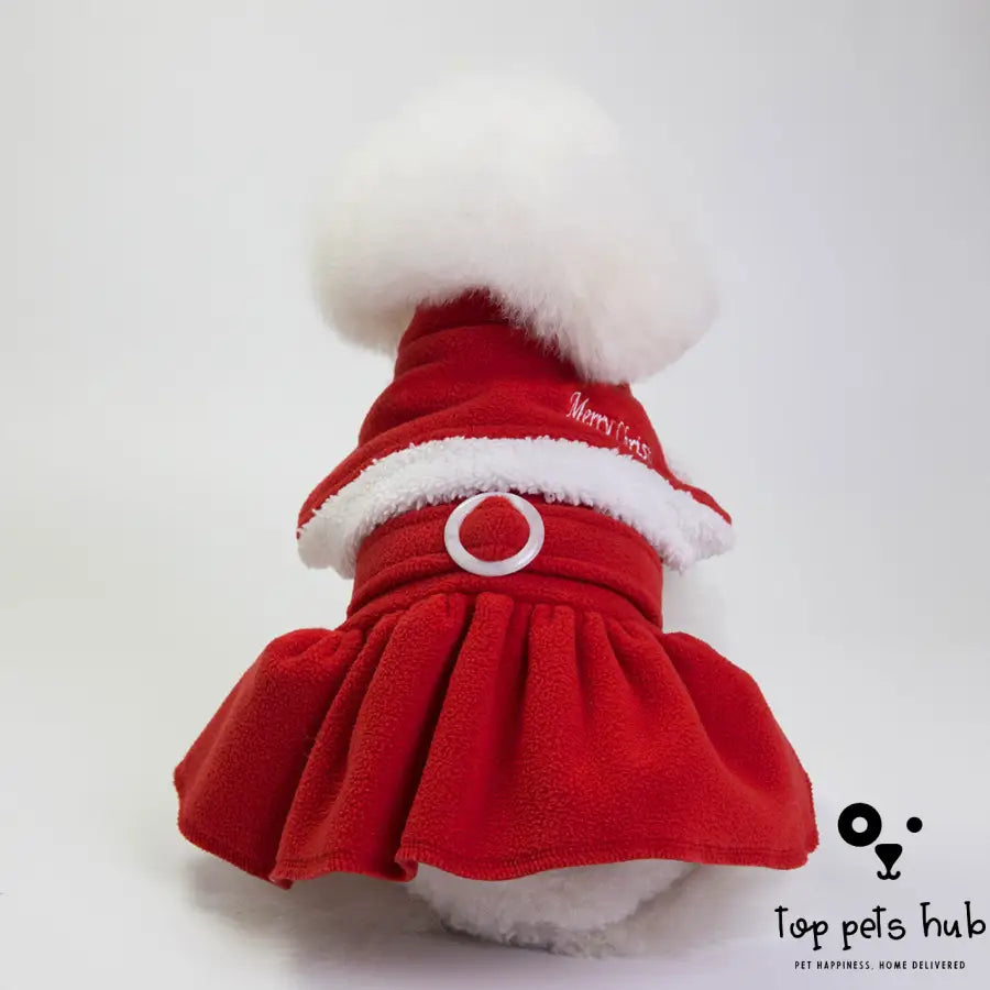 Fashionable Christmas Dog Clothes