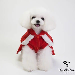 Fashionable Christmas Dog Clothes