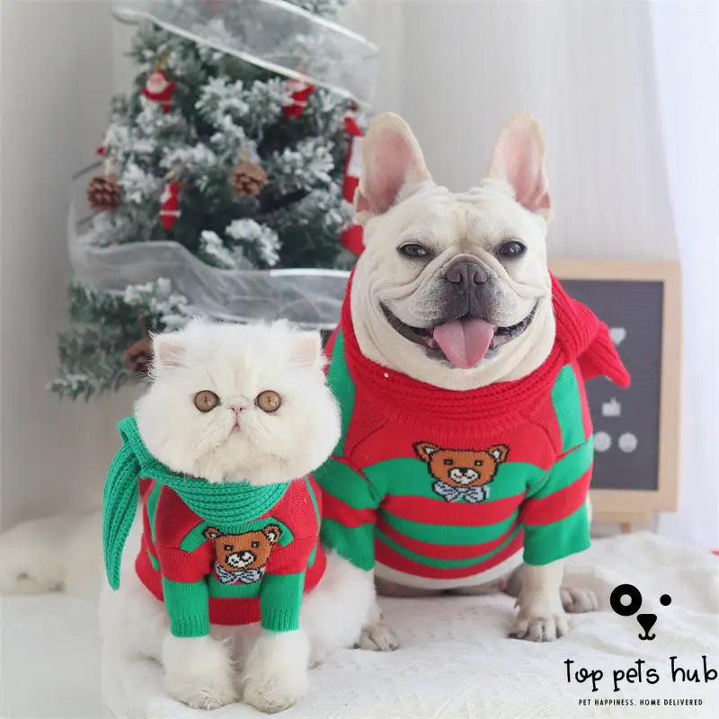 Festive Christmas Knitted Dog Sweater