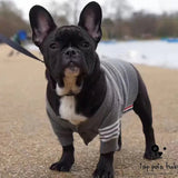 Festive Christmas Pet Sweater