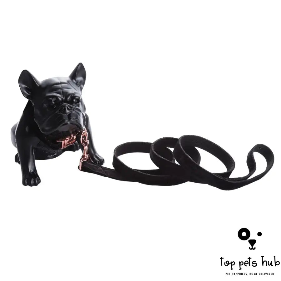 Christmas Black Soft Collar and Leash Gifts for Dogs Cats -