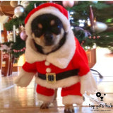 3D Christmas Pet Dog Suit