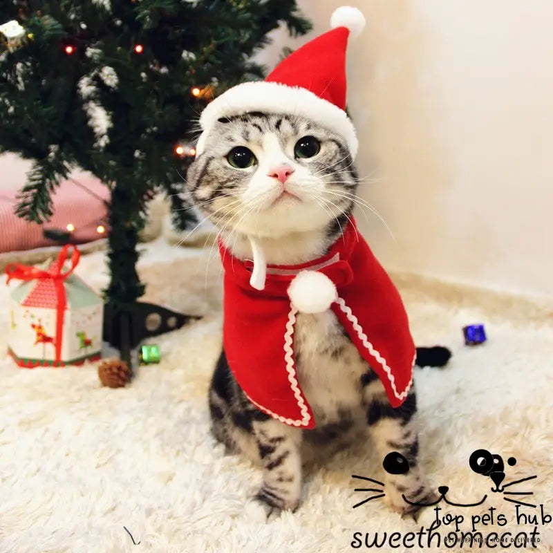 Small Christmas Tiara for Pets