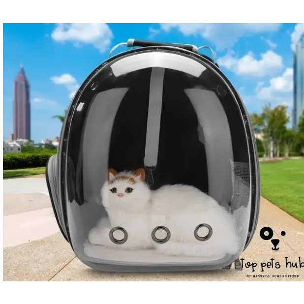 Transparent Pet Space Bag