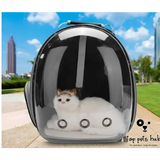 Transparent Pet Space Bag