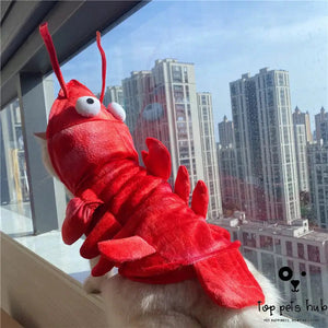 Lobster Cat Halloween Clothes