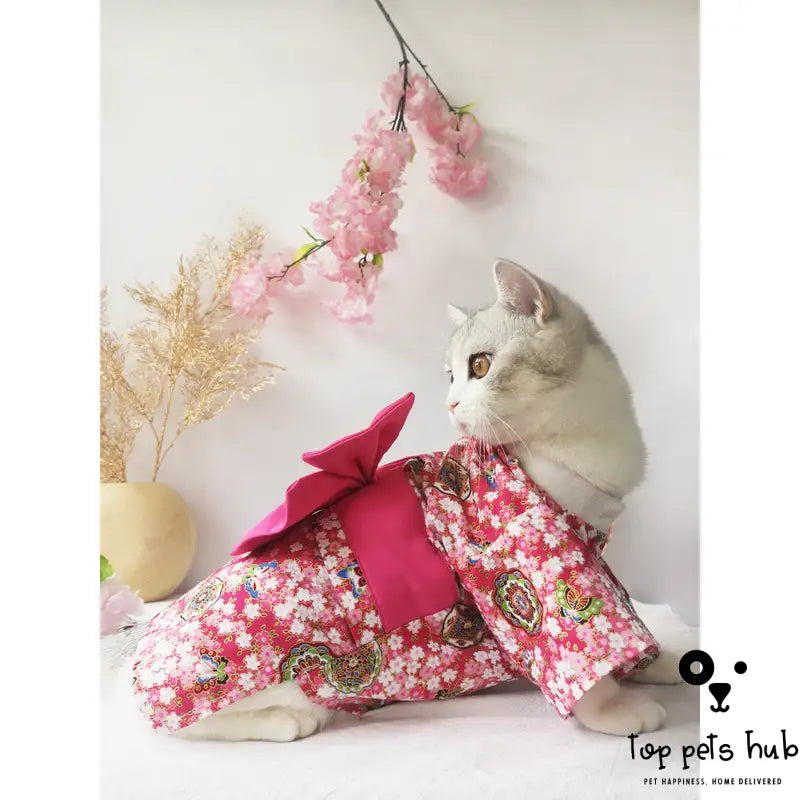 Adorable Clothes for Small Dogs and Cats