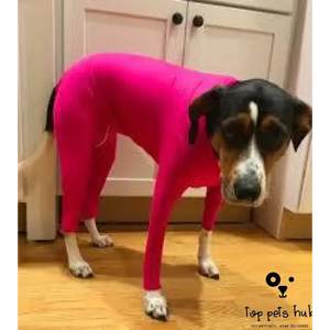 All-Inclusive Four-Legged Dog Clothing - Stylish and Warm