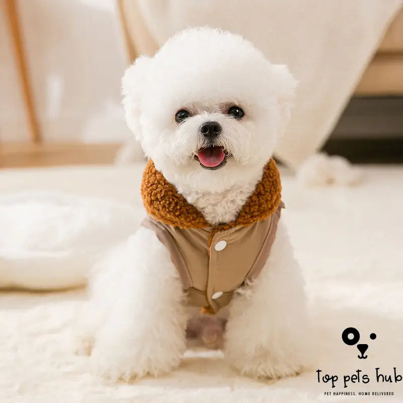 Korean Style Coffee Sweater for Small Dogs