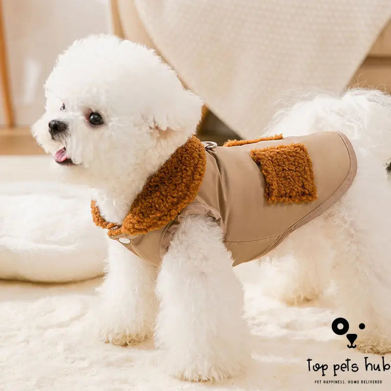 Korean Style Coffee Sweater for Small Dogs