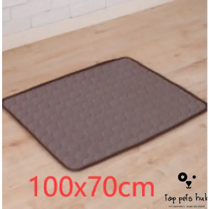 ChillPaws Ice Silk Cooling Pad for Pets