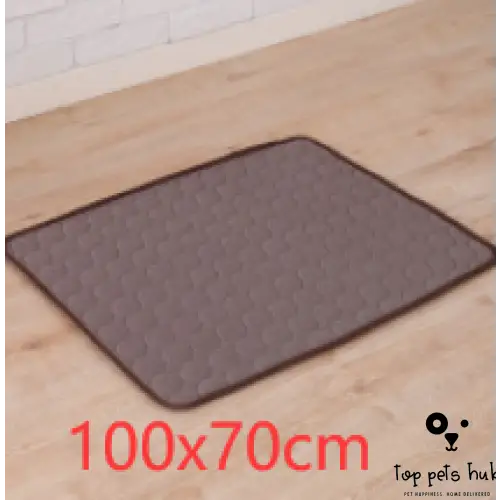 ChillPaws Ice Silk Cooling Pad for Pets