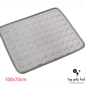 ChillPaws Ice Silk Cooling Pad for Pets