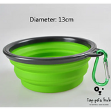 Foldable Pet Bowl