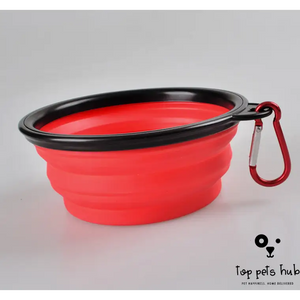 Foldable Pet Bowl