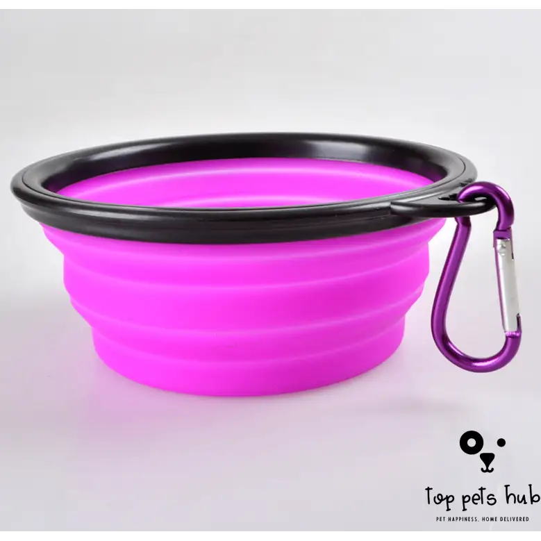 Foldable Pet Bowl