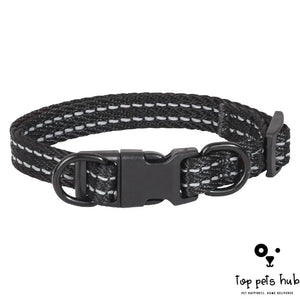 Reflective Dog Collar with Double D Ring Buckle