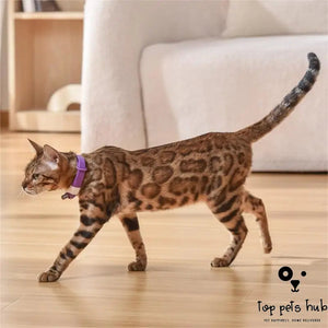 Laser Collar Cat Toy