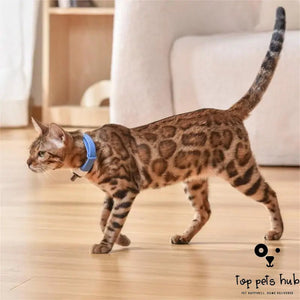 Laser Collar Cat Toy