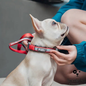 SafeTrack Reflective Full Neck Dog Collar and Leash Set