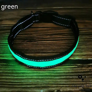LED Luminous Dog Collar with Reflective Stripe